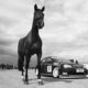 Do you know the meaning of horsepower used for car power
